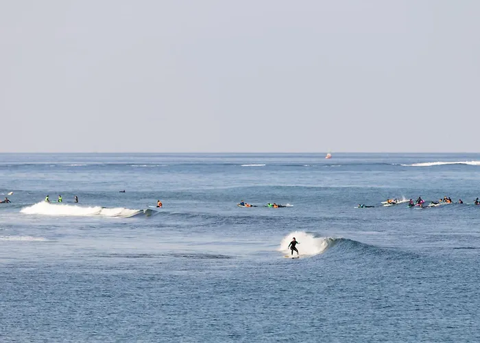 شقة New! Sea View With Aircon In Center Of Americas بلايا ذي لاس أميريكاس